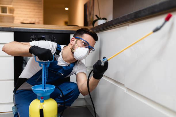 Wasp Removal Services in Chester, WV