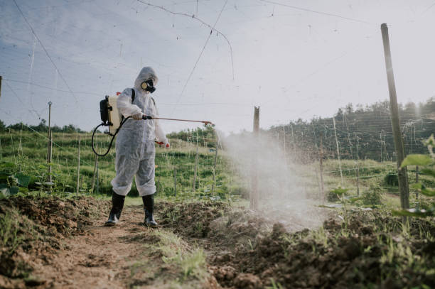 Best Commercial Pest Control Services  in Chester, WV
