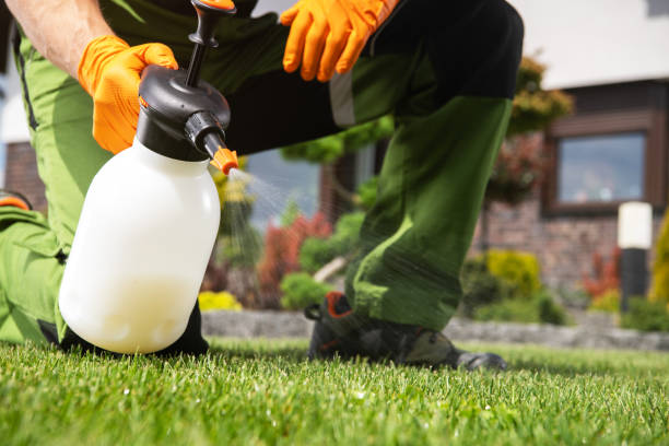 Best Exterminator Services  in Chester, WV