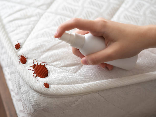Pest Control for Restaurants in Chester, WV